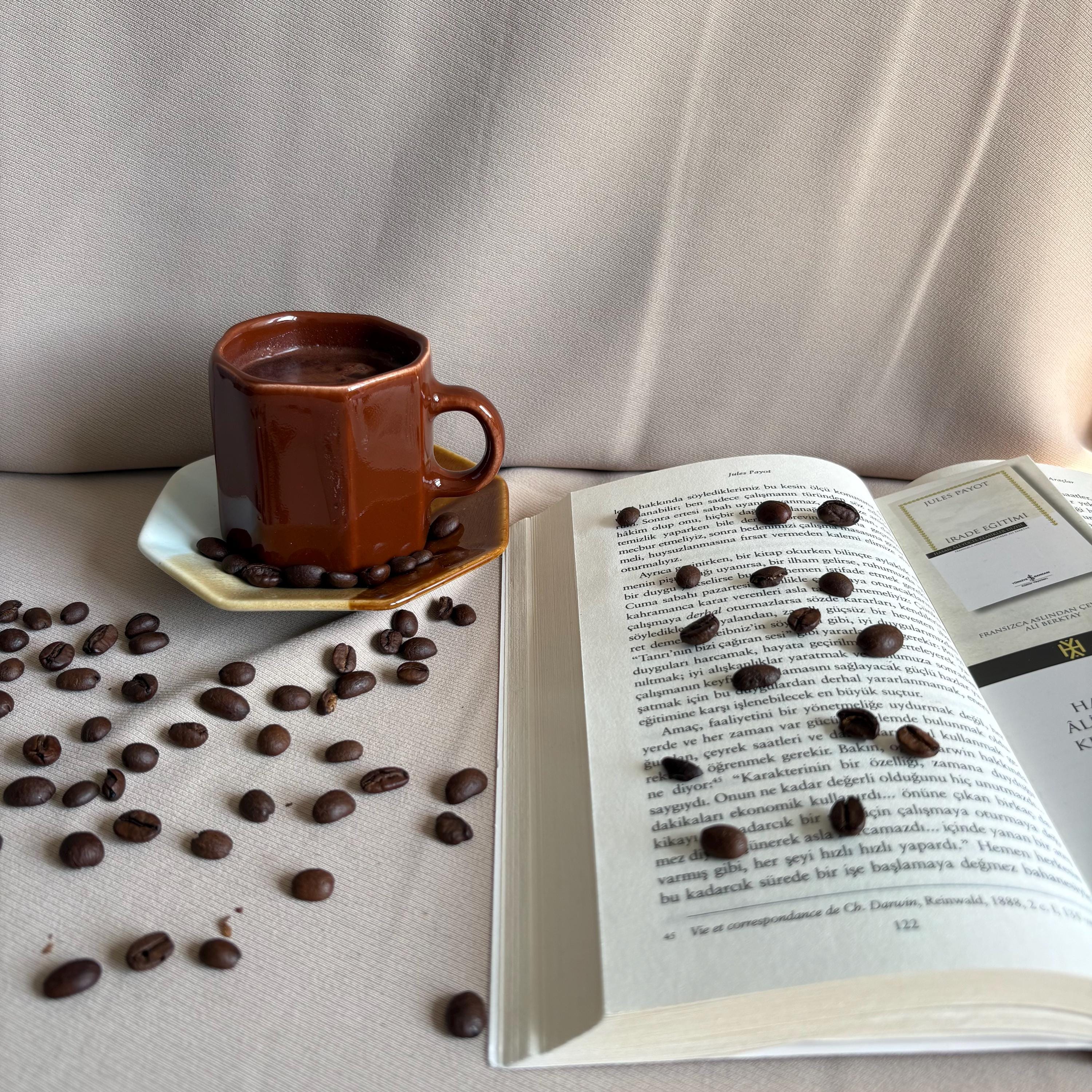 Brown Stoneware Cup and Saucer Set